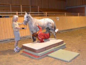 Reiterin fällt vom Pferd
