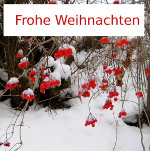 Frohe Weihnachten - Foto: Rote Beeren auf weißem Schnee